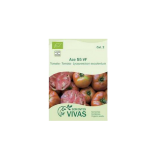 Semente Tomate Ace VF Bio 0.5gr