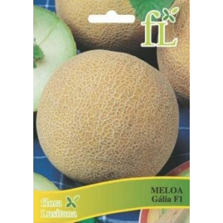 Semente Meloa Gália F1 0.5Grs