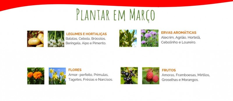 Plantar em Março